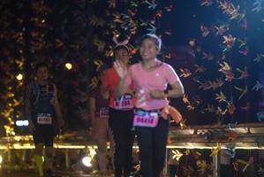 BIB: 41394, 443, 40002, 4414
                            <button type="button" onclick="openModal(18288710)" class="btn btn-primary btn-sm float-right btn-popup" data-toggle="modal" data-target=".modal-high-quality">
                        <i class="fas fa-shopping-cart"></i> Add to Cart
                    </button>
                                            <button type="button" onclick="isThisMe(18288710, true)" class="btn btn-success btn-sm float-right btn-popup btn-isme hidden" data-toggle="tooltip" data-placement="bottom" title="นี่คือรูปของคุณใช่ไหม คลิกที่นี่เพื่อเอาเข้าอัลบั้ม">
                        <i class="fas fa-plus"></i> Add to album
                    </button>
                    <button type="button" onclick="isThisMe(18288710, false)" class="btn btn-warning btn-sm float-right btn-popup btn-isnotme hidden">
                        <i class="fas fa-ban"></i> Remove from album
                    </button>